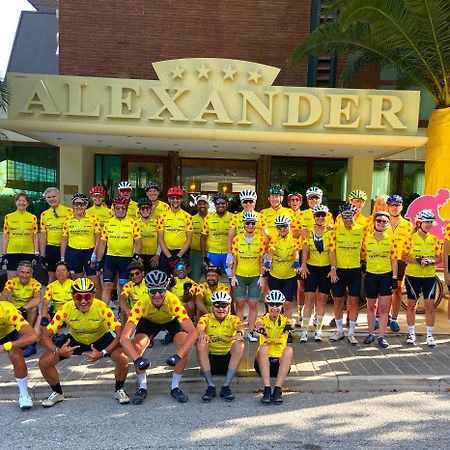 Hotel Alexander ガビッチェ・マーレ エクステリア 写真